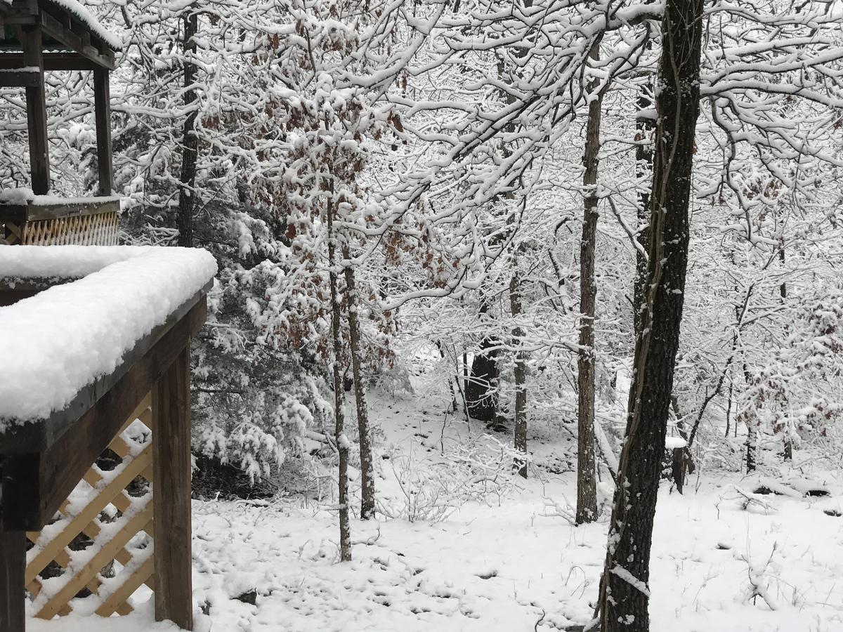 Norfork Lake Ozark Mountain Lodge Gamaliel エクステリア 写真